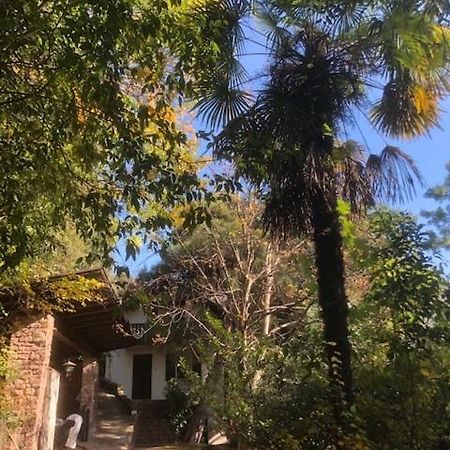 Torre Garden Home - Casa Singola Nella Citta Di Bolzano Con Giardino Privato Екстер'єр фото